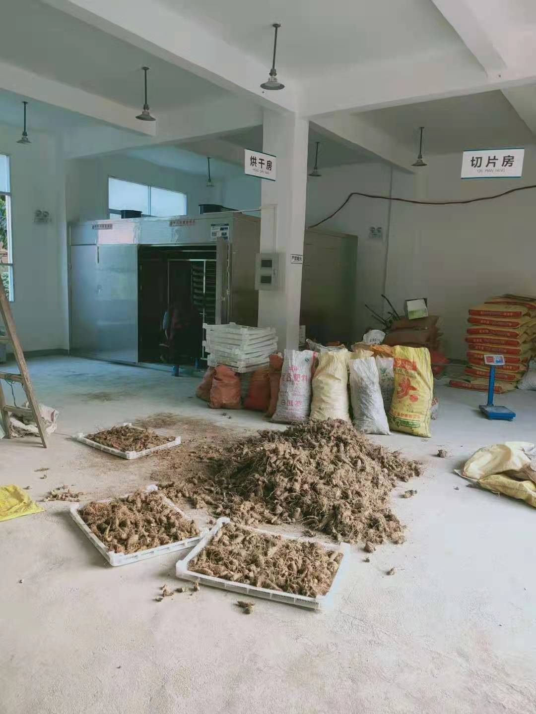 智能型荷叶烘干机的工作原理是什么