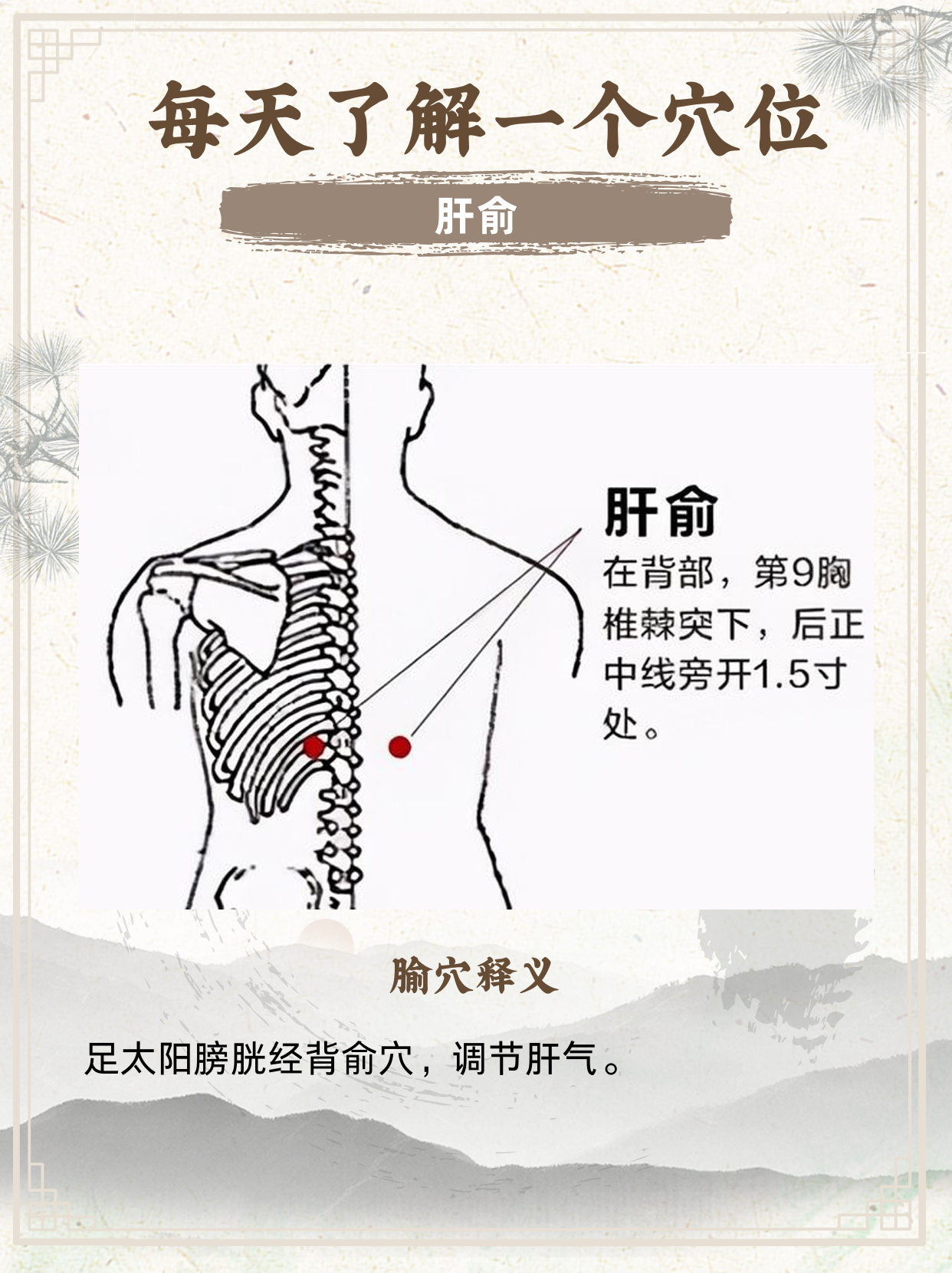 肝俞穴是足太阳膀胱经的重要穴位,也是肝气输注于背部的部位
