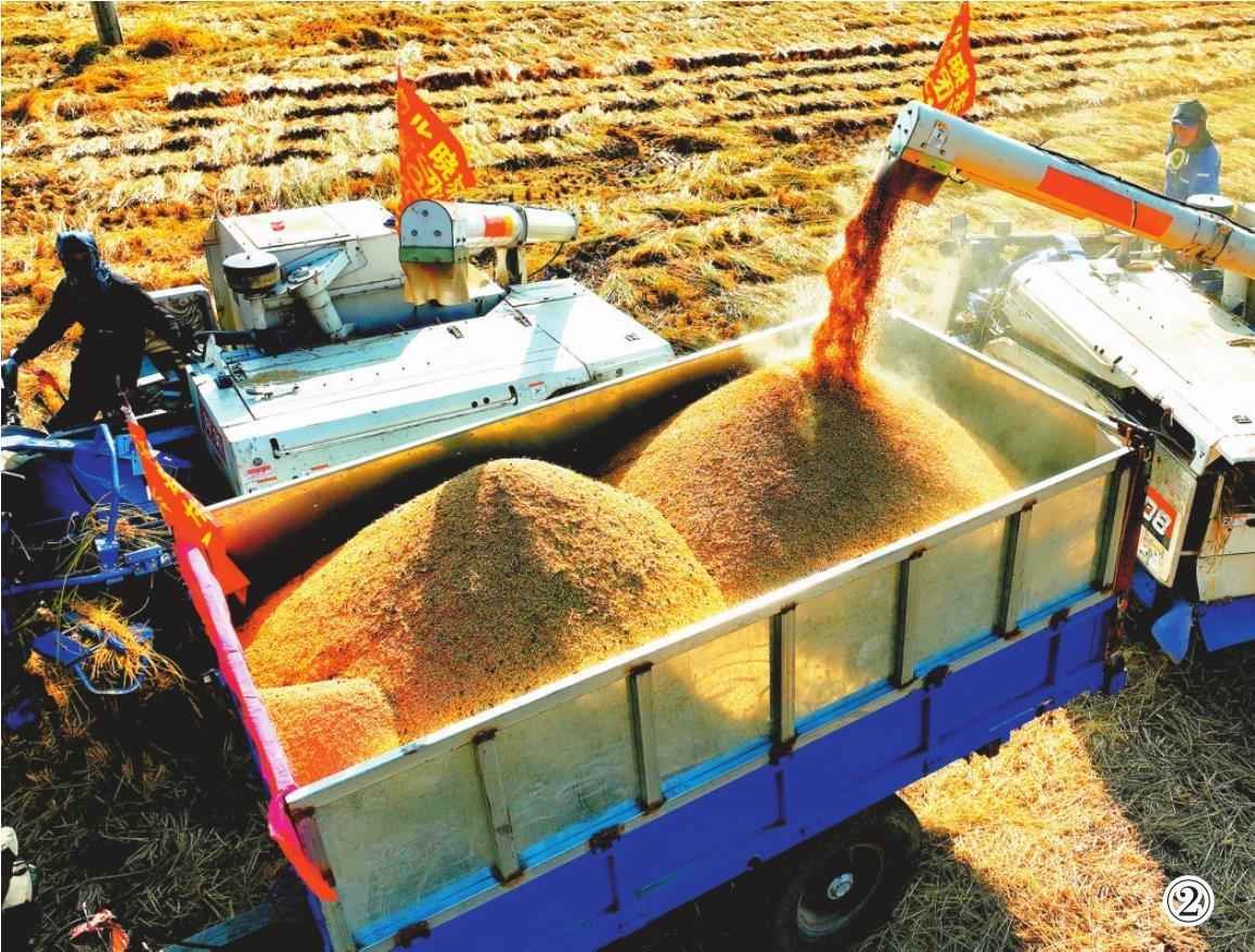 #振兴新突破辽宁杠杠滴##有一种美好叫