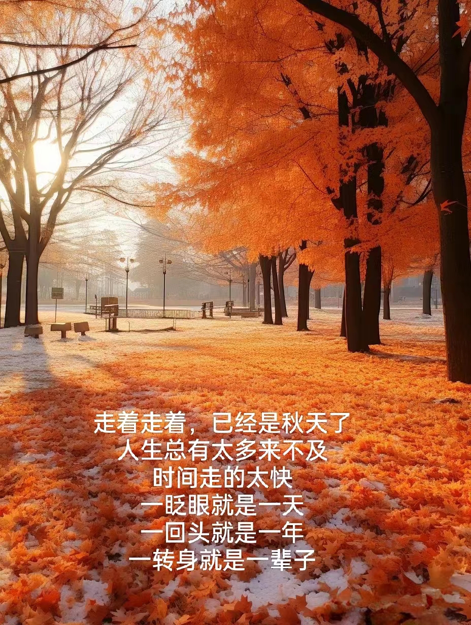 走着走着,已经是秋天了 人生总有太多来不及 时间走的太快 一眨眼就是