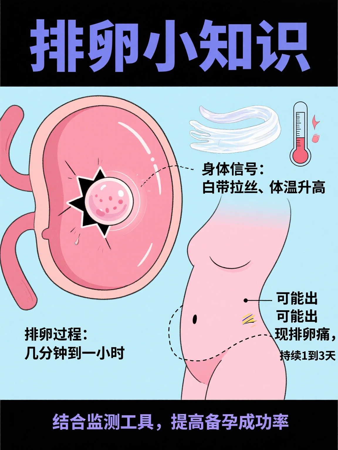 其实答案藏在卵子的"旅程"里哦～