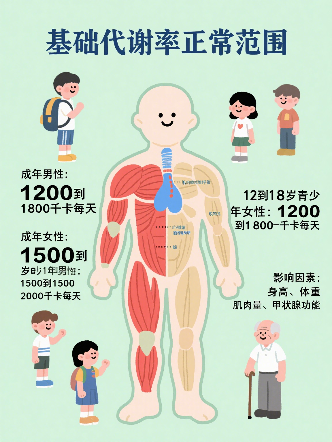 基础代谢率的正常范围