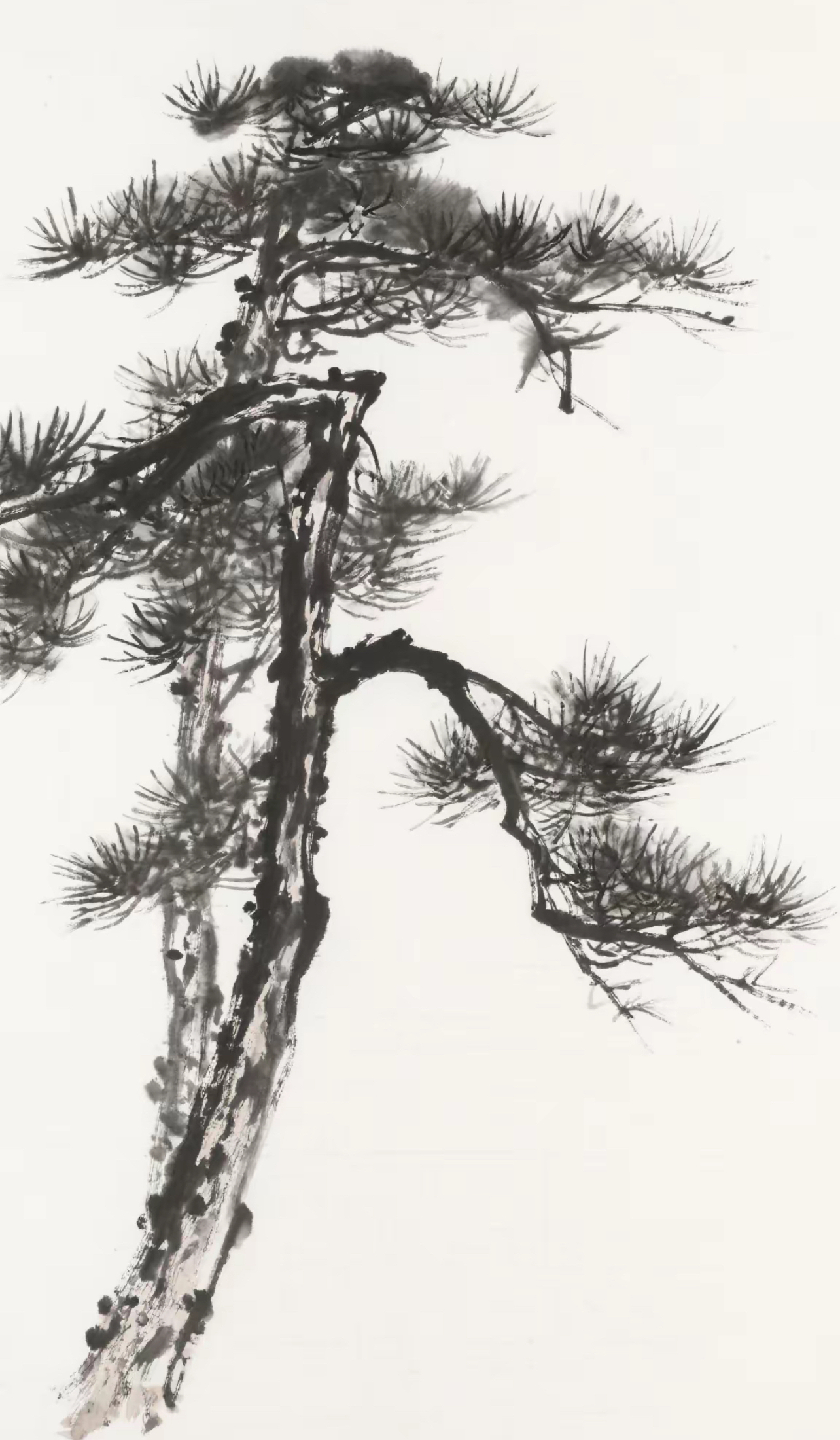 国画写意松树,真美,快来一起画吧!#国画教程