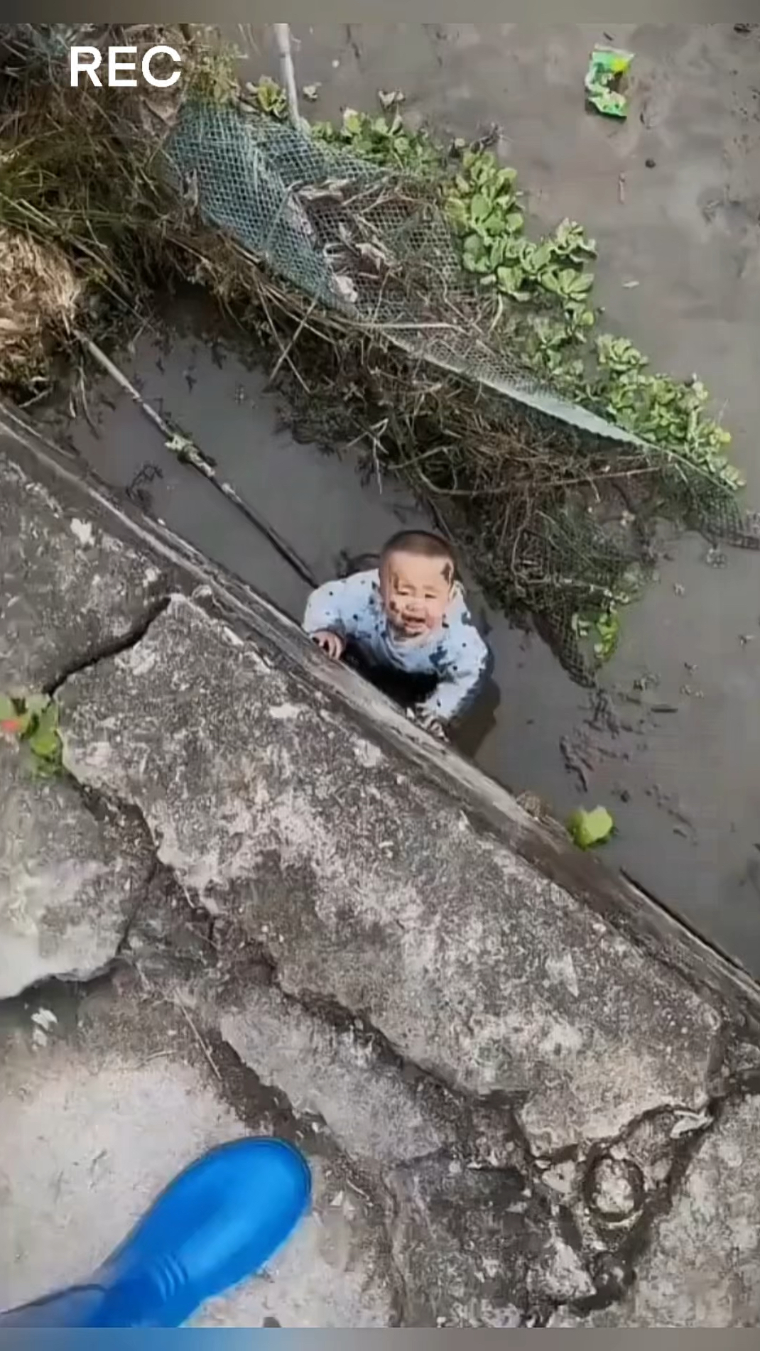 孩子掉进泥坑这事你怎么看