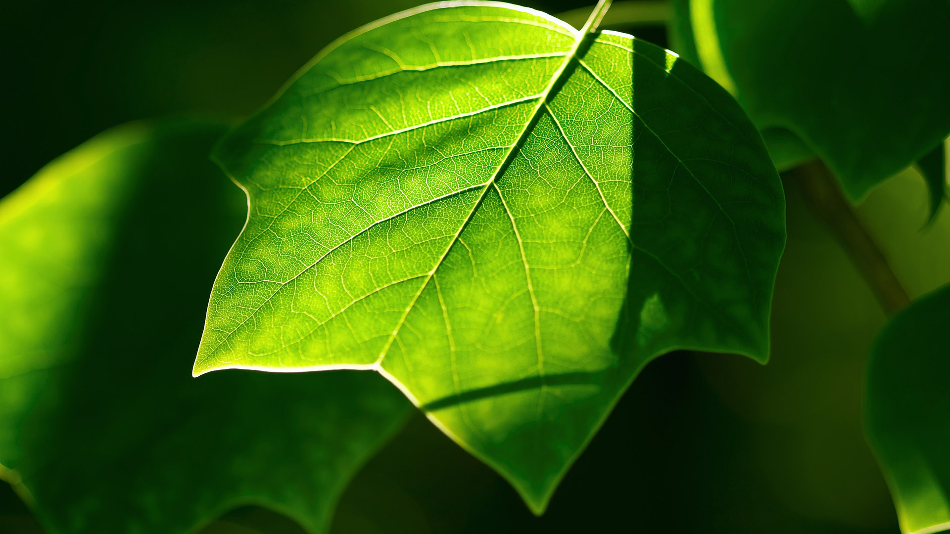 30岁离异女人好追不?揭秘她们内心的真实想法!