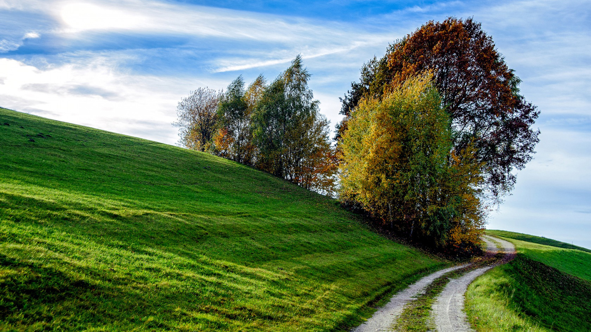 170的男生找不到女朋友吗?破解恋爱市场的身高迷思