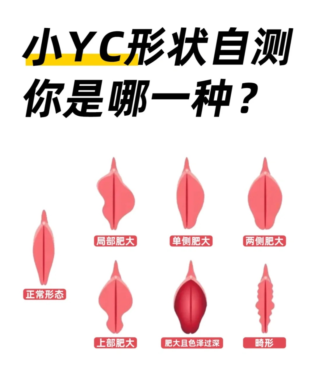 24个阴性外貌形状实图 "24个阴性外貌形状实图"通常指的是展示女性