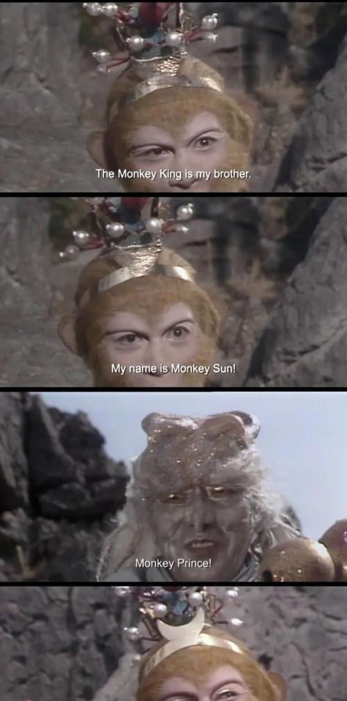 睡前一乐  昨天,八戒去医院做了个小手术,刚进病房