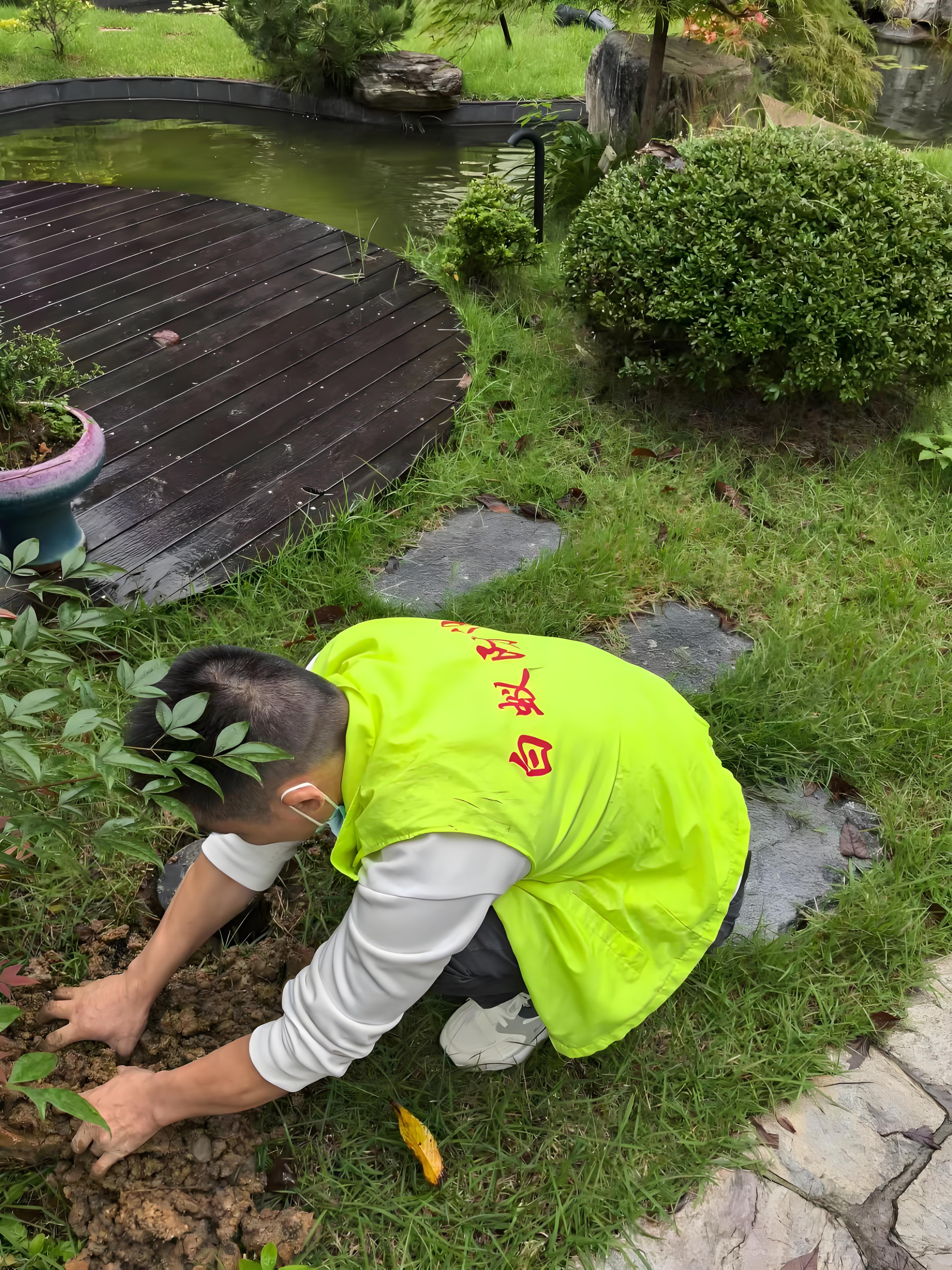 富阳区白蚁防治官方指定合作机构