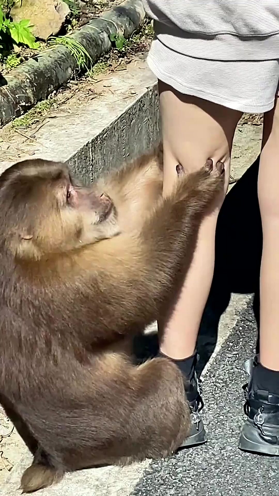 好色的猴子对小姐姐动手动脚,是想要小姐姐带它去钓鱼吗