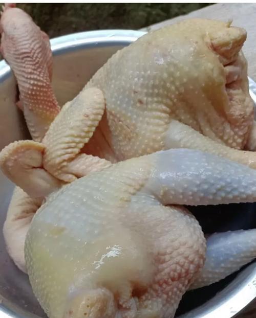 杀三只鸡的图片招魂鸡怎么绑鸡的裸照两只整鸡下锅图片鸡腐烂图片二口