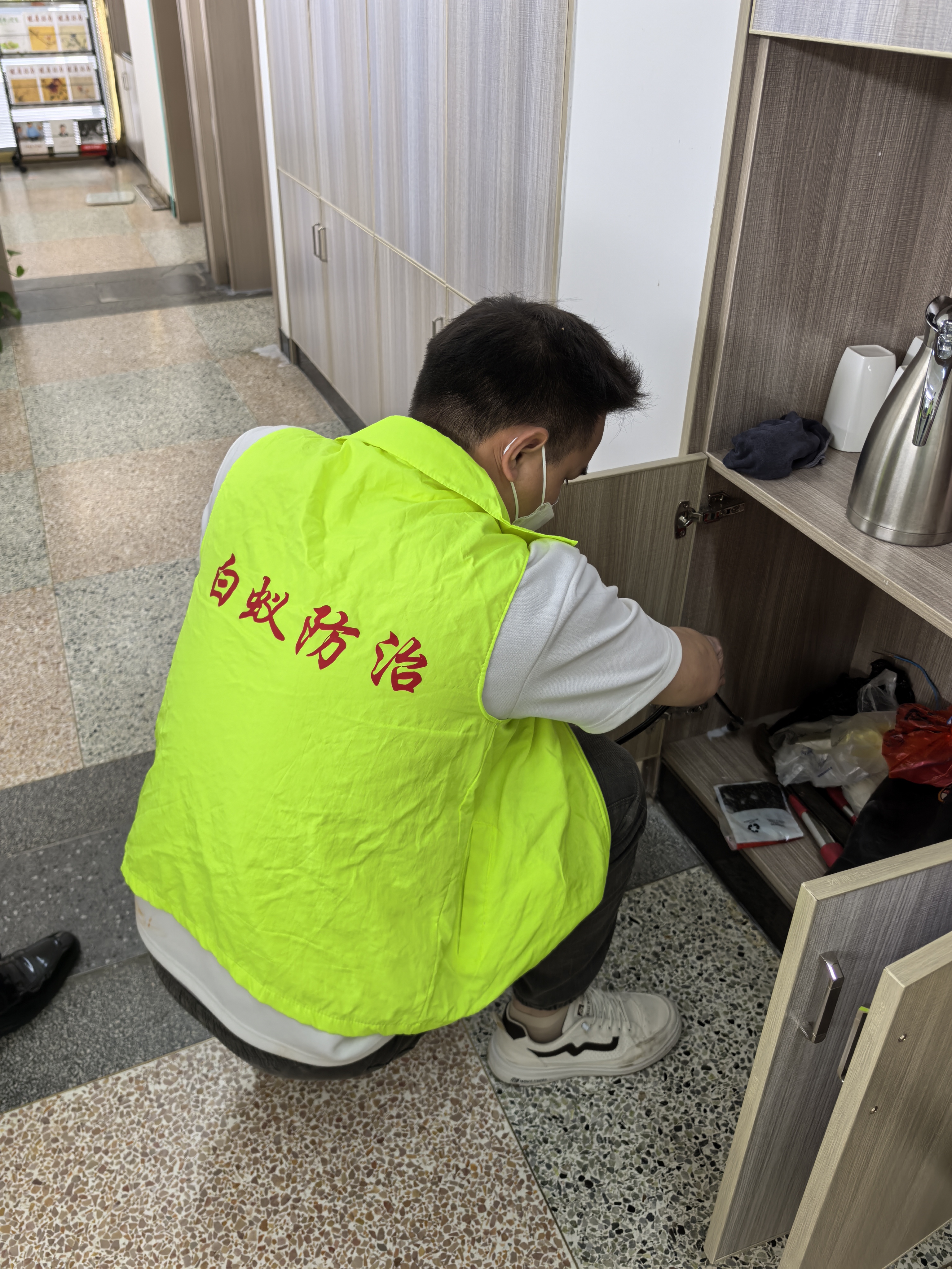 张家港除白蚁//白蚁防治中心官方电话 除白蚁//白蚁防治中心官方电话