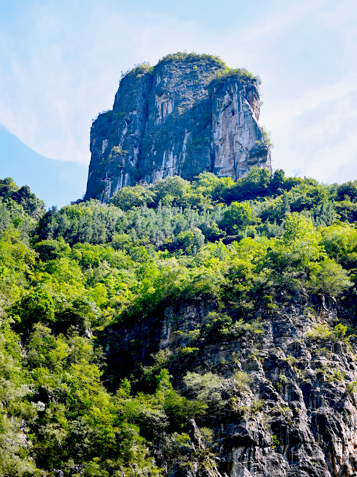 世纪游轮过画里山河