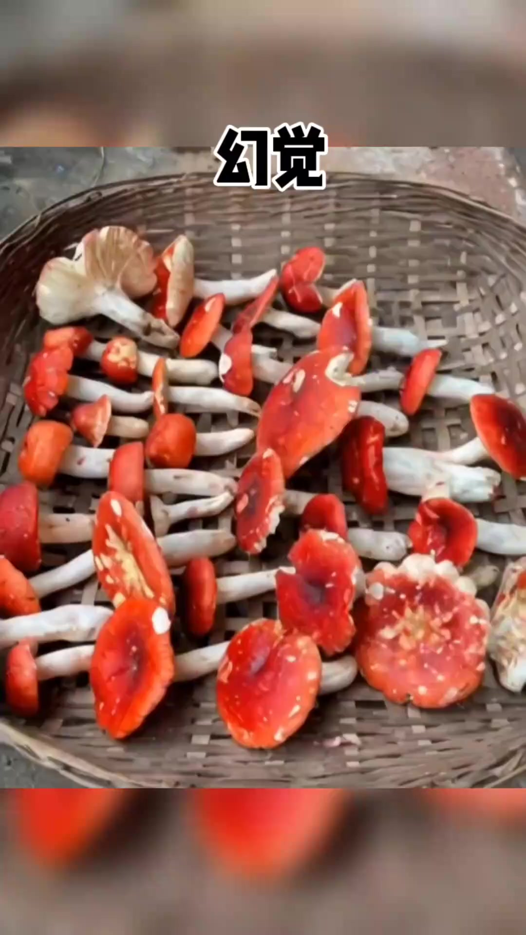 我是不是出现幻觉了,完了,这蘑菇指定是有毒啊