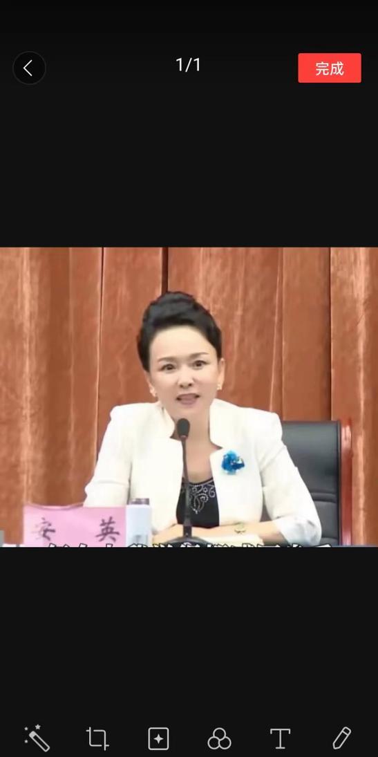 近期蓝海集团总经理安英被许多人褒贬