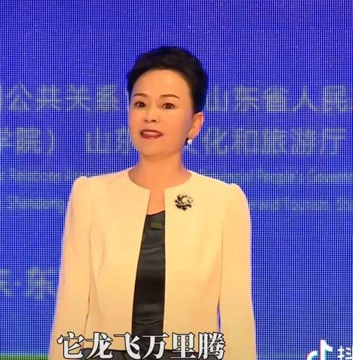 近期蓝海集团总经理安英被许多人褒贬