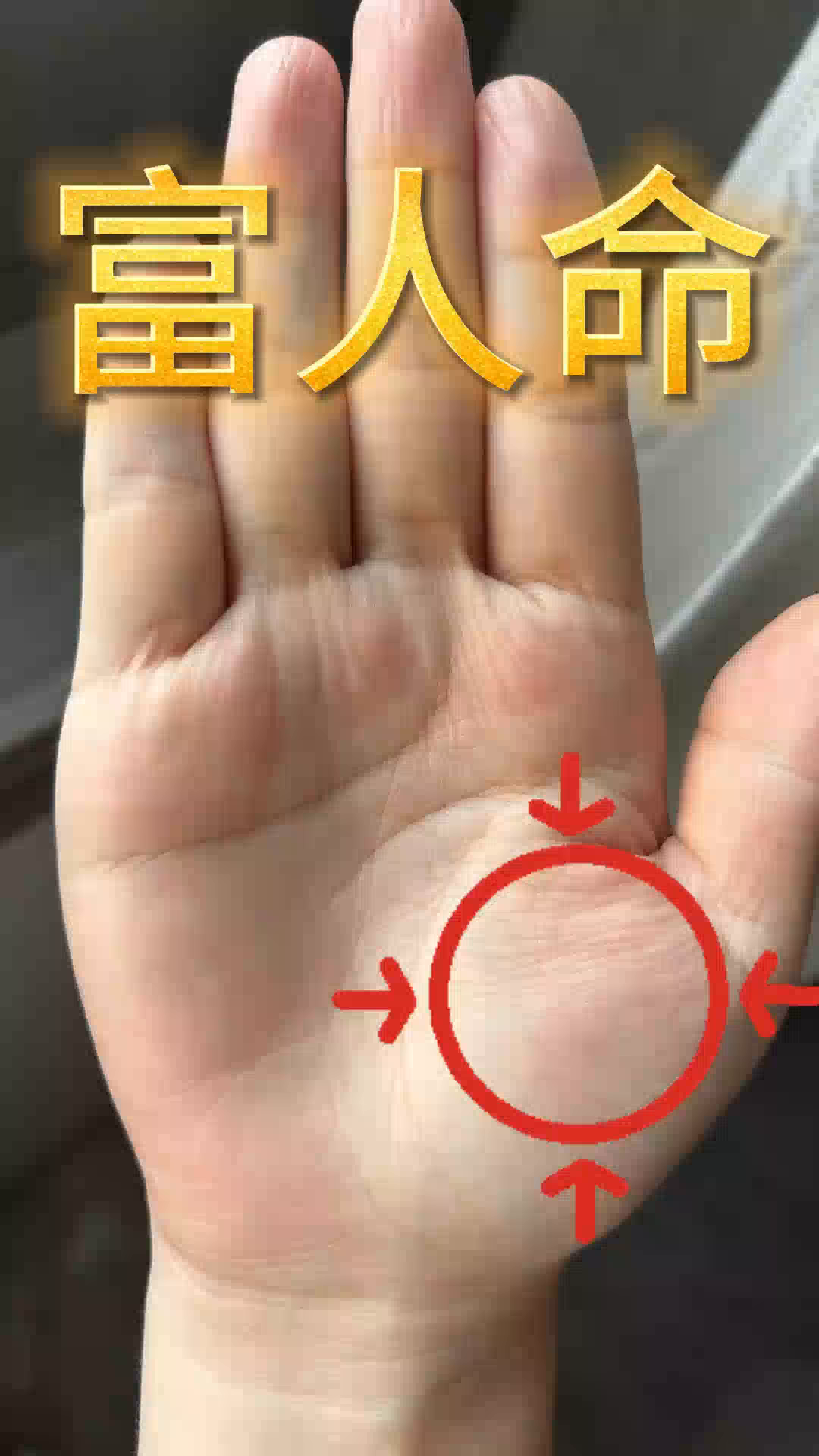 入大富贵手纹第二种,你是同款吗