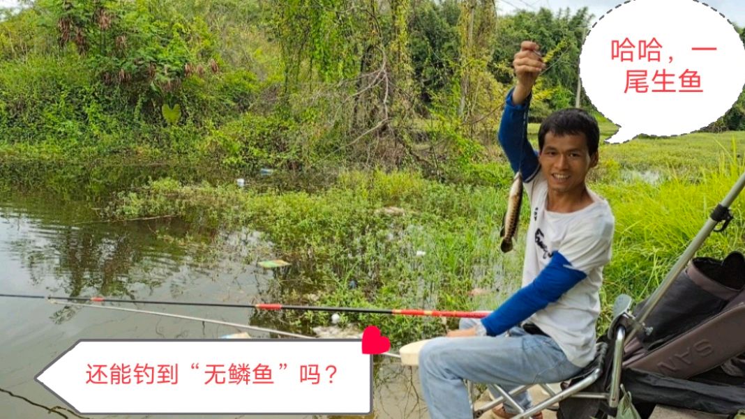 野钓:老钓位用这款“神饵”做饵,无鳞鱼罗非鱼抢着吃,拉得过瘾