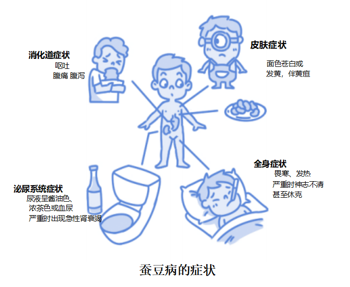 有关蚕豆病,您需要知道的那些事