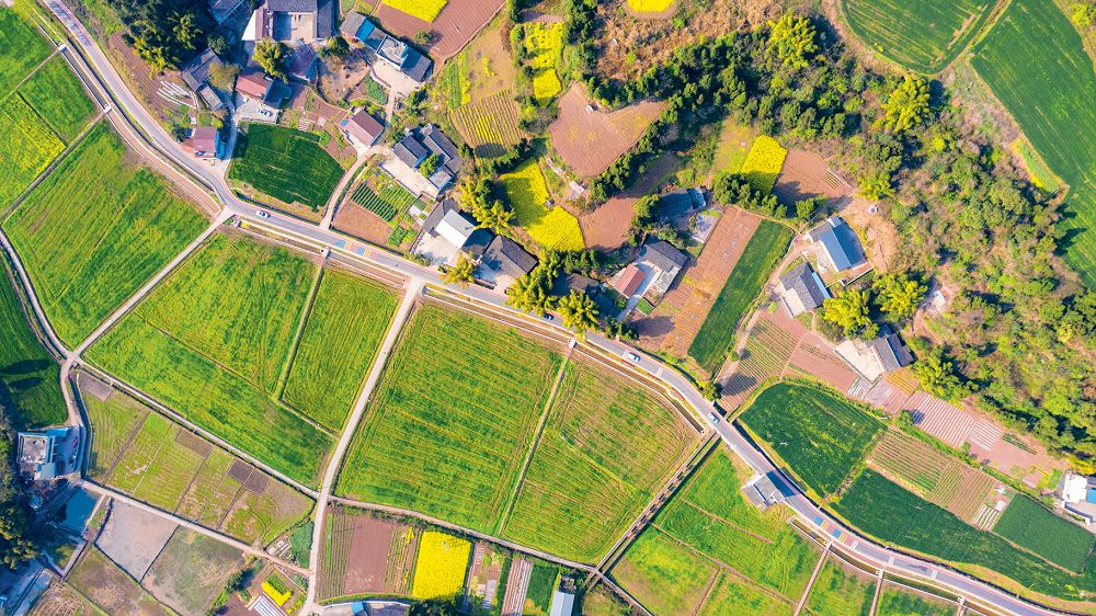 射洪市沱牌镇:乘势而上 "魅力酒乡"加速崛起