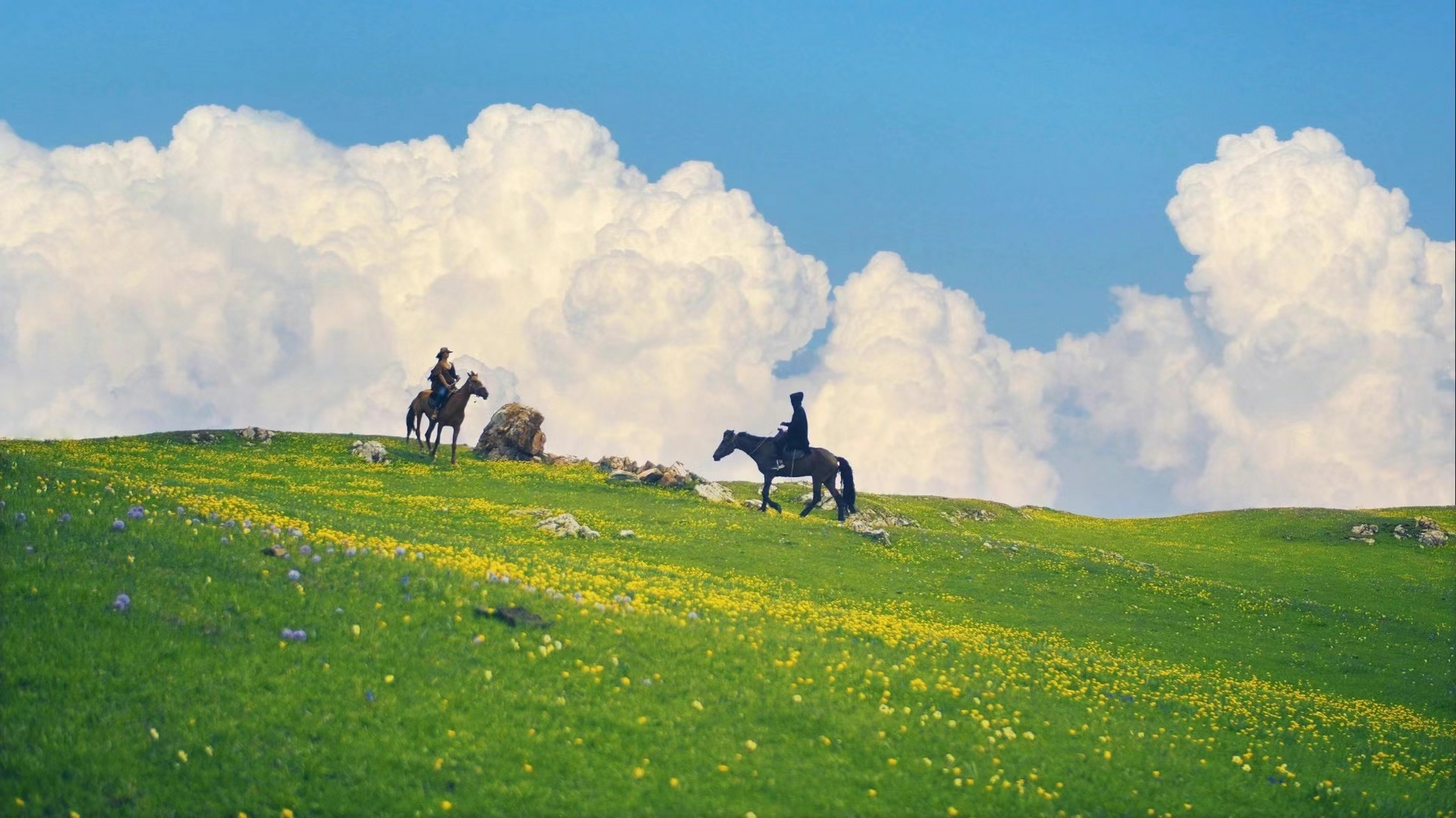 喀拉峻草原鲜花台,仿佛走进了宫崎骏的夏天,野花漫野,让人心之神往.