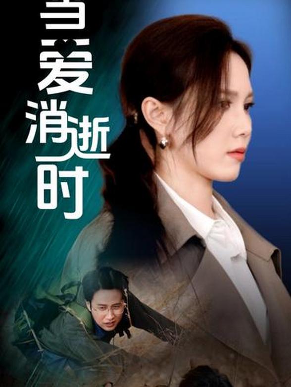 当爱消逝时