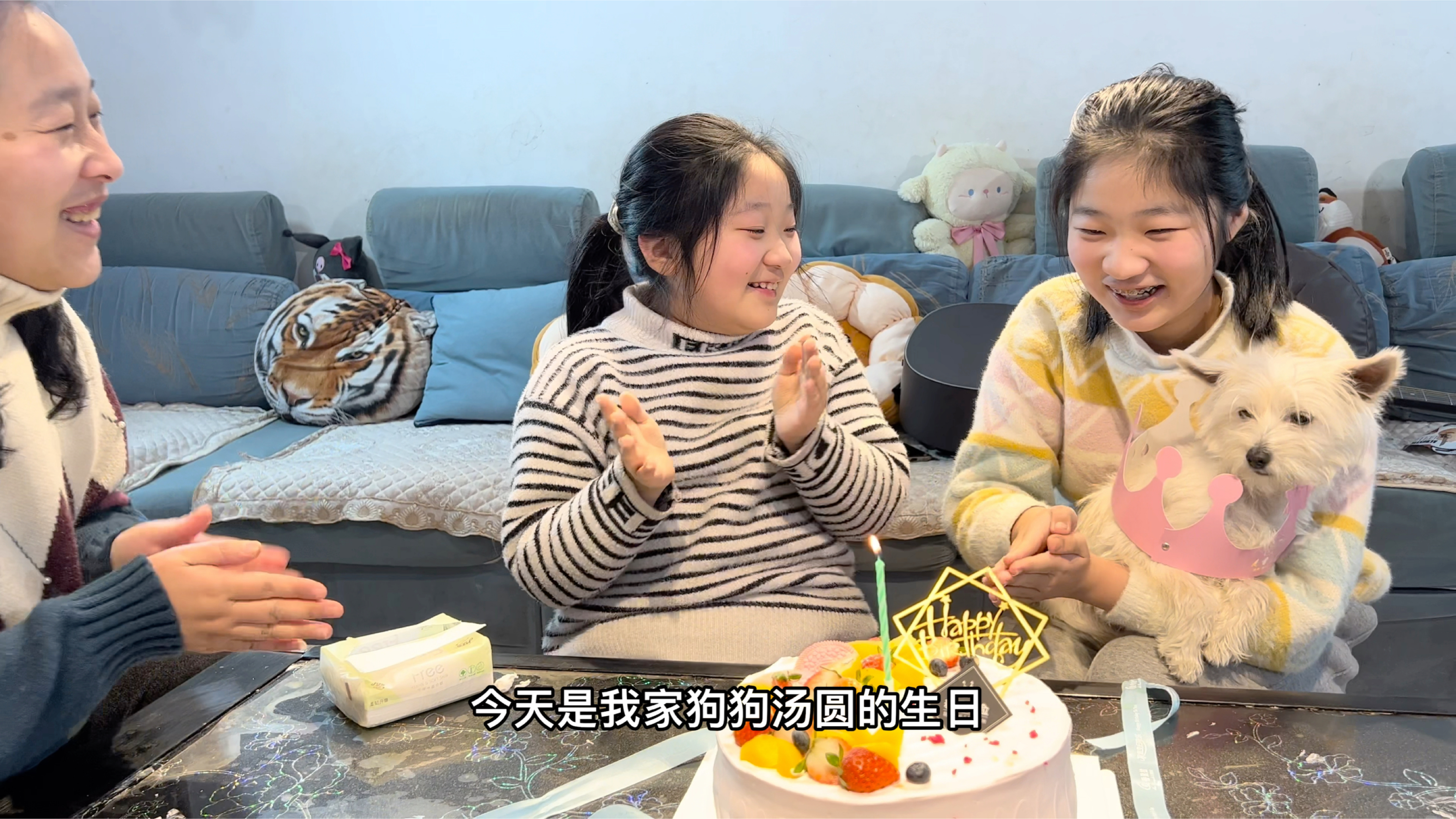 狗狗生日了,一家人给狗狗过生日,吃蛋糕的时候女儿气哭了
