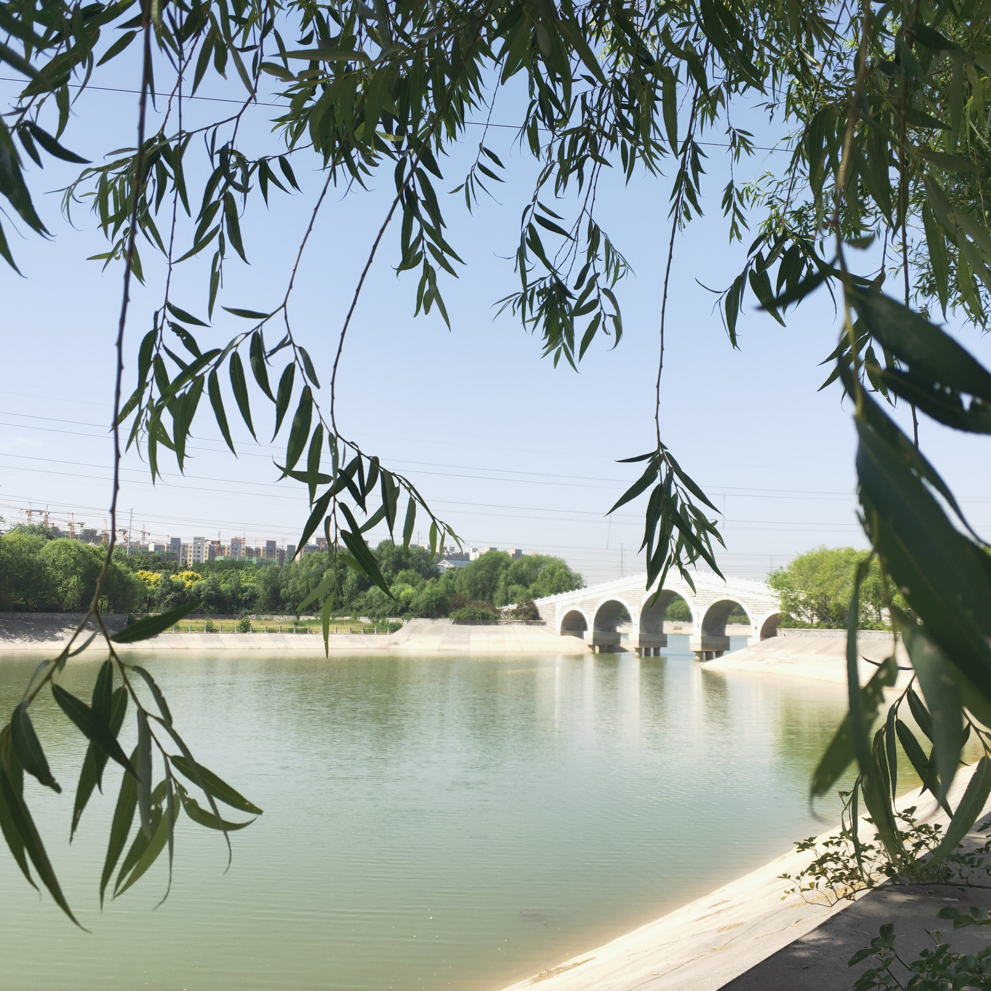 长垣三善园,高温下的一抹清凉