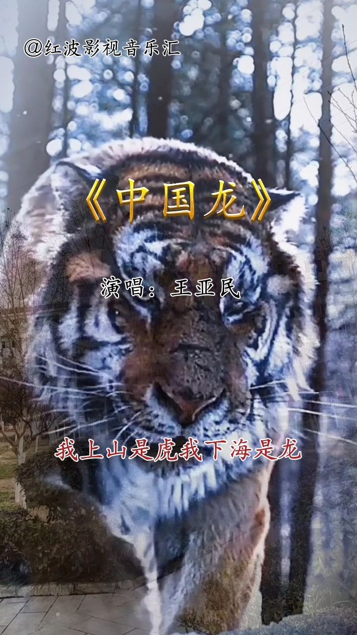 经典音乐中国龙演唱王亚民