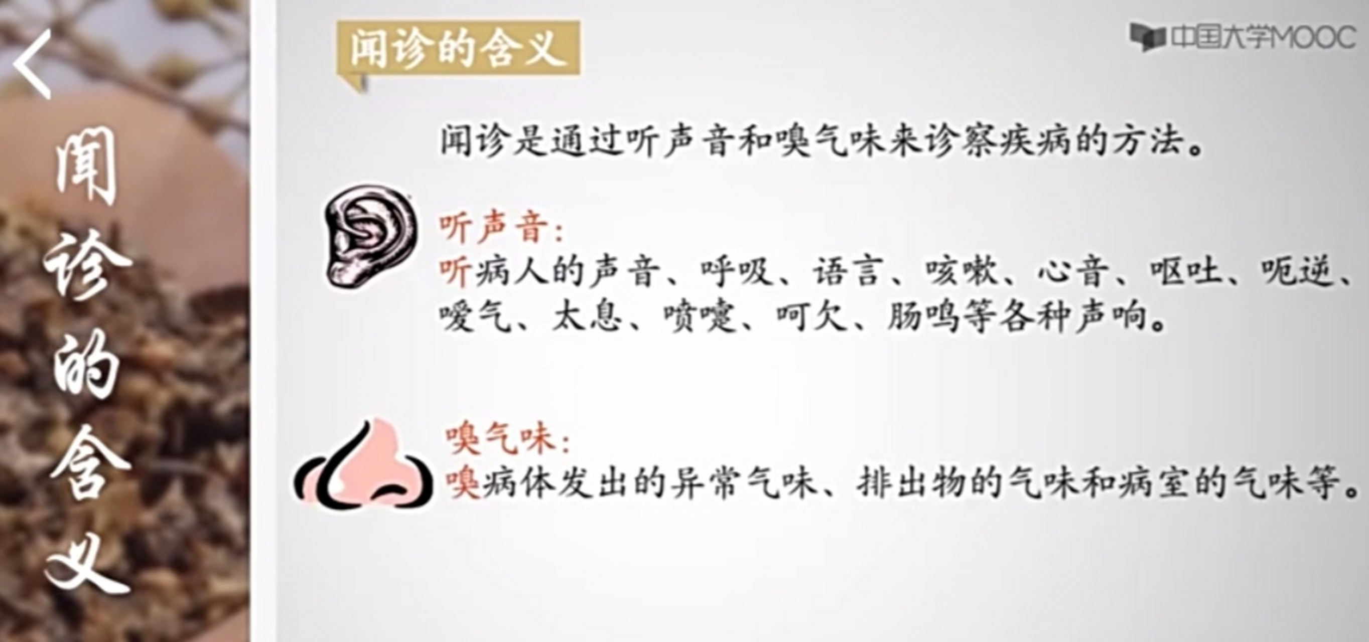 中医"闻诊"一一"闻诊"的含义(听声音,闻气味),声音产生的原理,正常