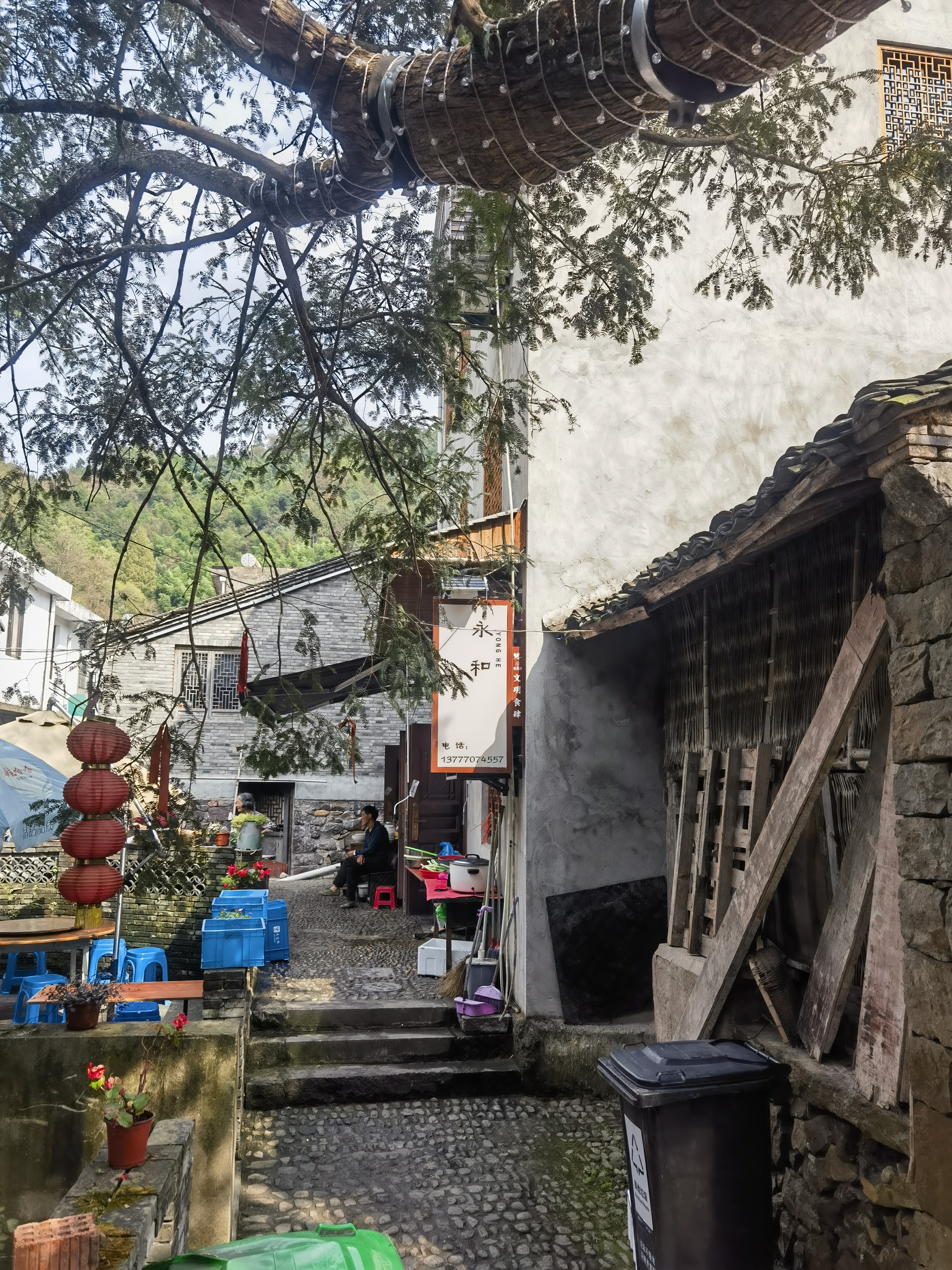 探访历史悠久的李家坑村:古韵与现代元素的完美融合