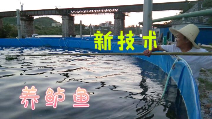 新兴鱼池养鲈鱼,应该很赚钱,老板又投资不少钱扩建