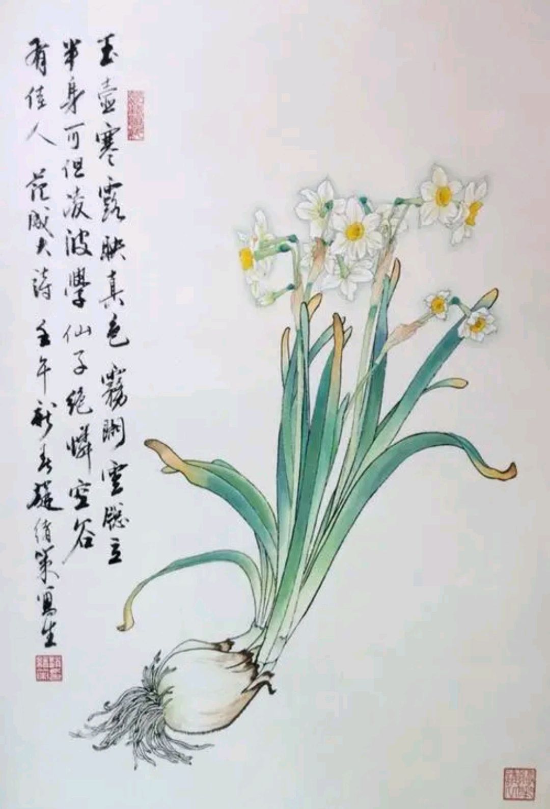 如何画好工笔水仙花