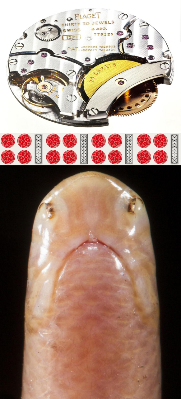 思想有用吗?戴帆(dai fan)格言集(思想|理念|观点)