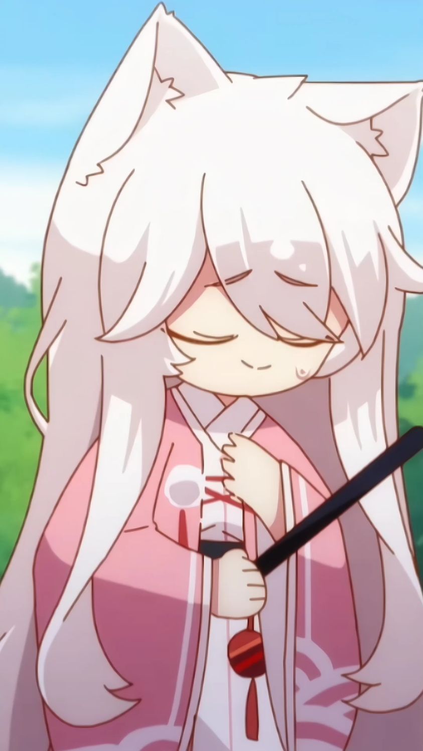 猫之茗祁红普洱袖手旁观终究是龙井承担了所有