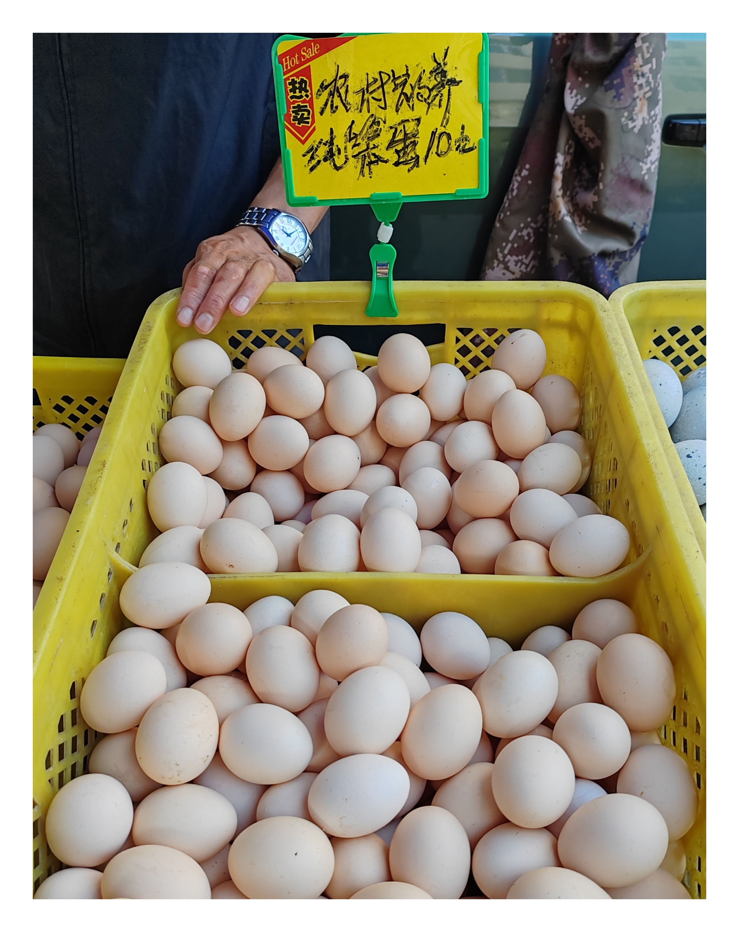 「走走拍拍61东北」清早的东市场太诱人