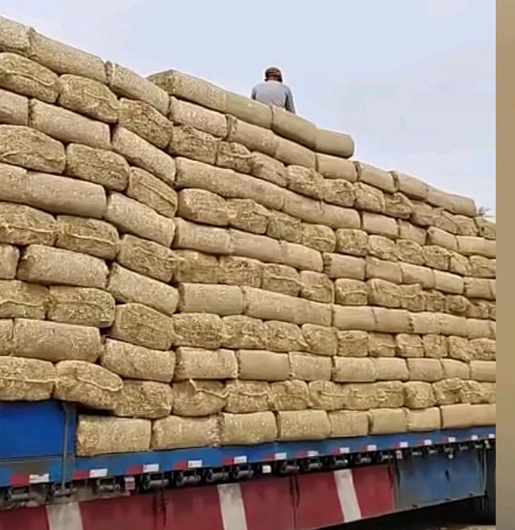 玉米套袋 - 2020年最新商品信息聚合专区 - 百度爱采购