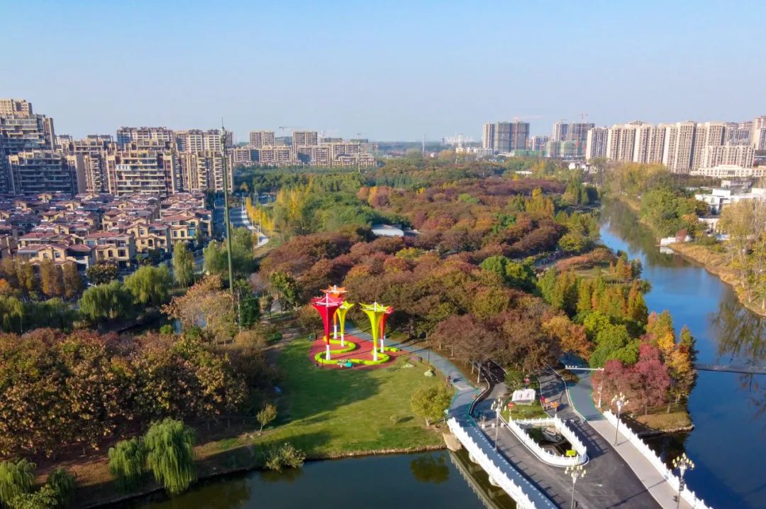 睢宁县花径公园游记