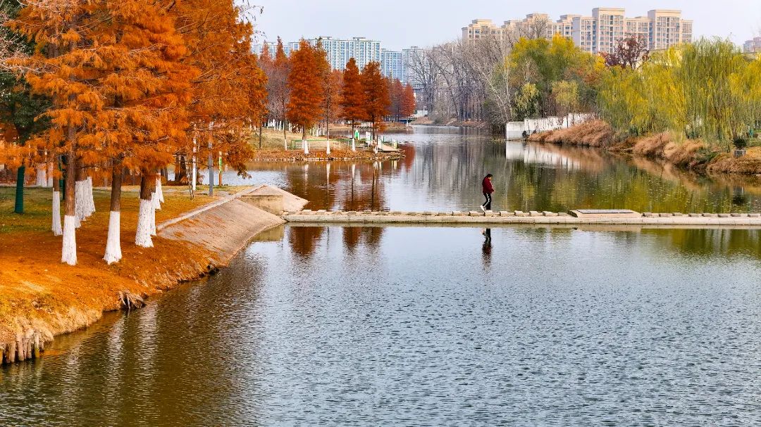 睢宁县花径公园游记