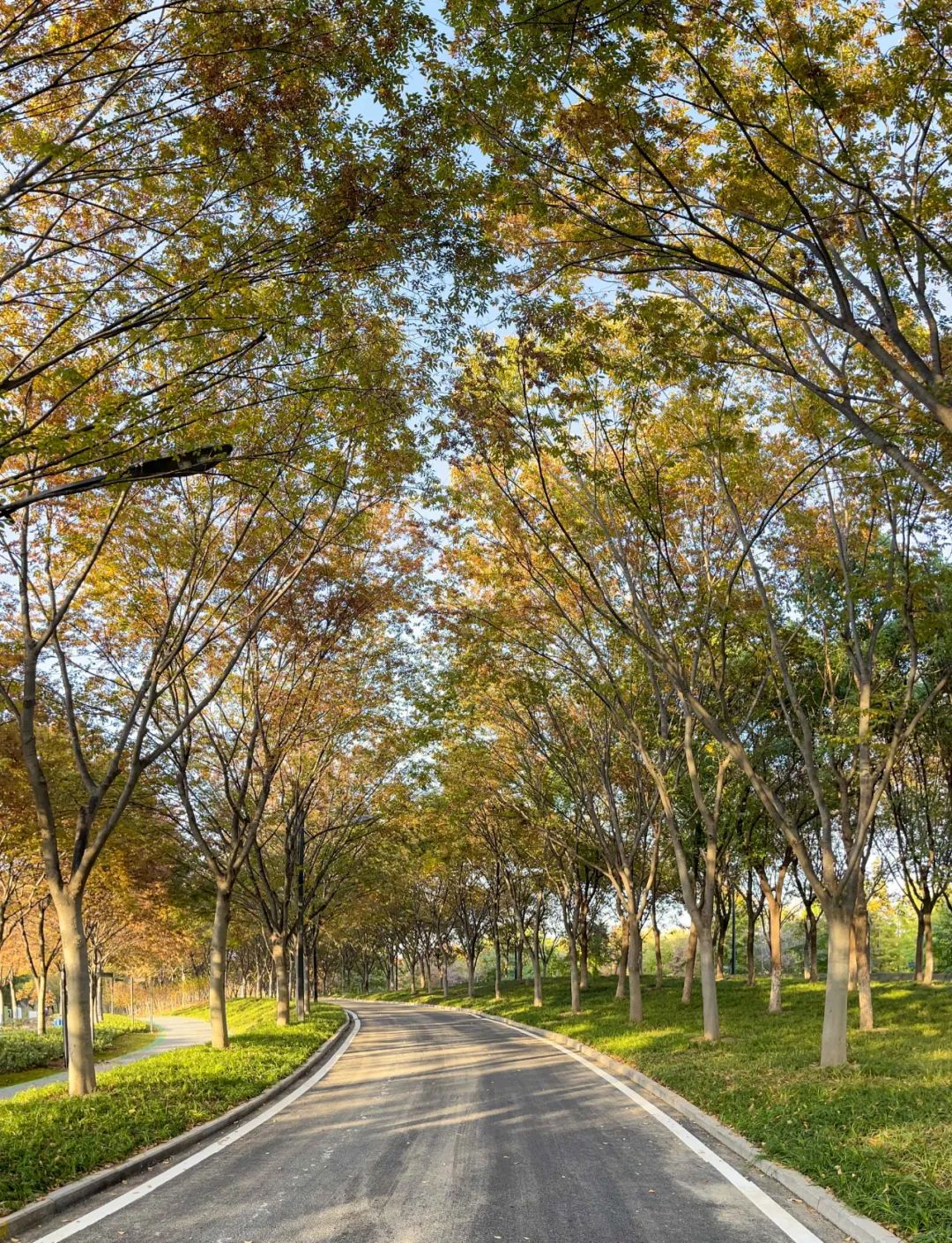 睢宁县花径公园游记