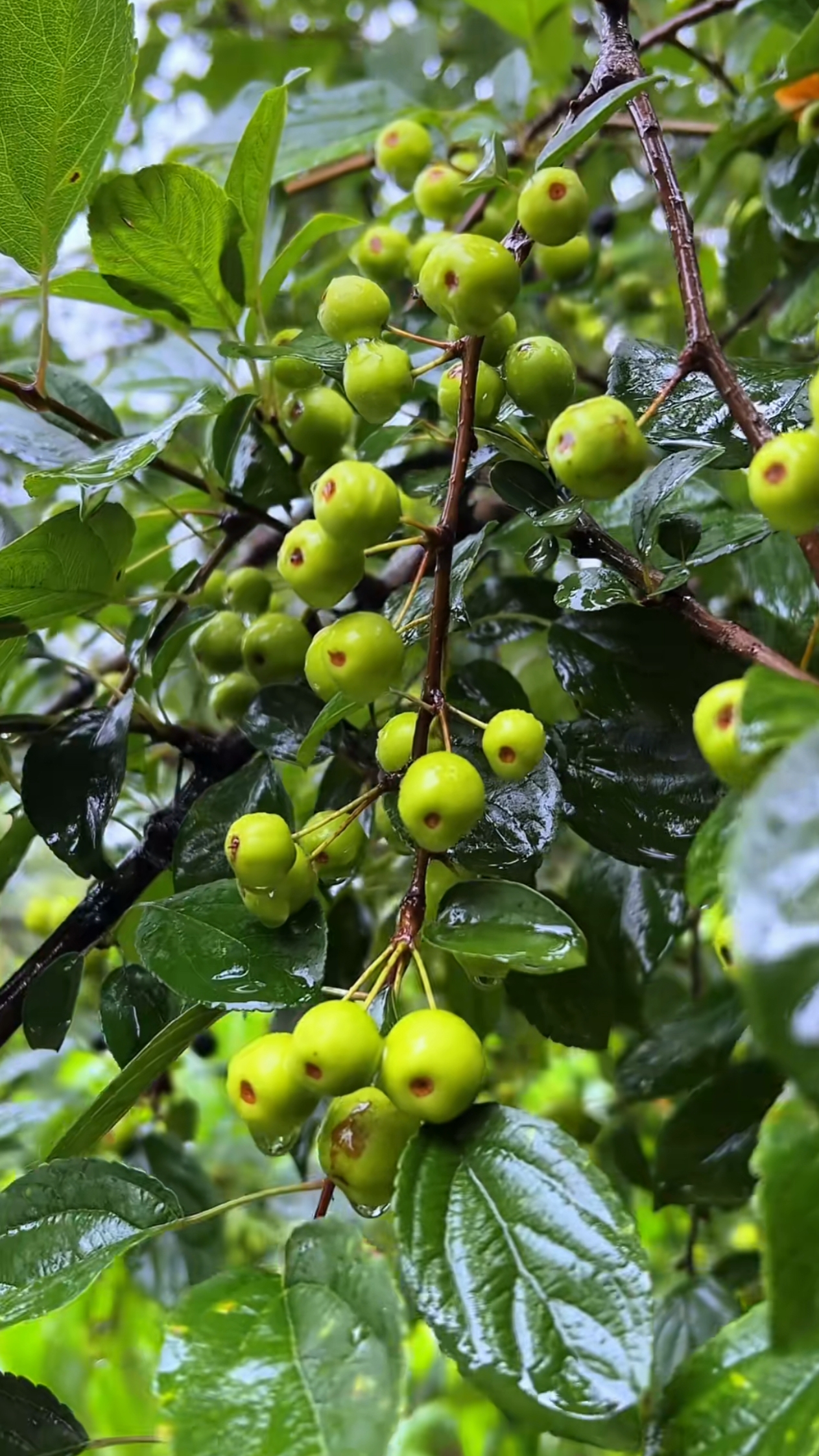 有这种地方,我真想做条鱼,做只鸟,做条虫子也行哈