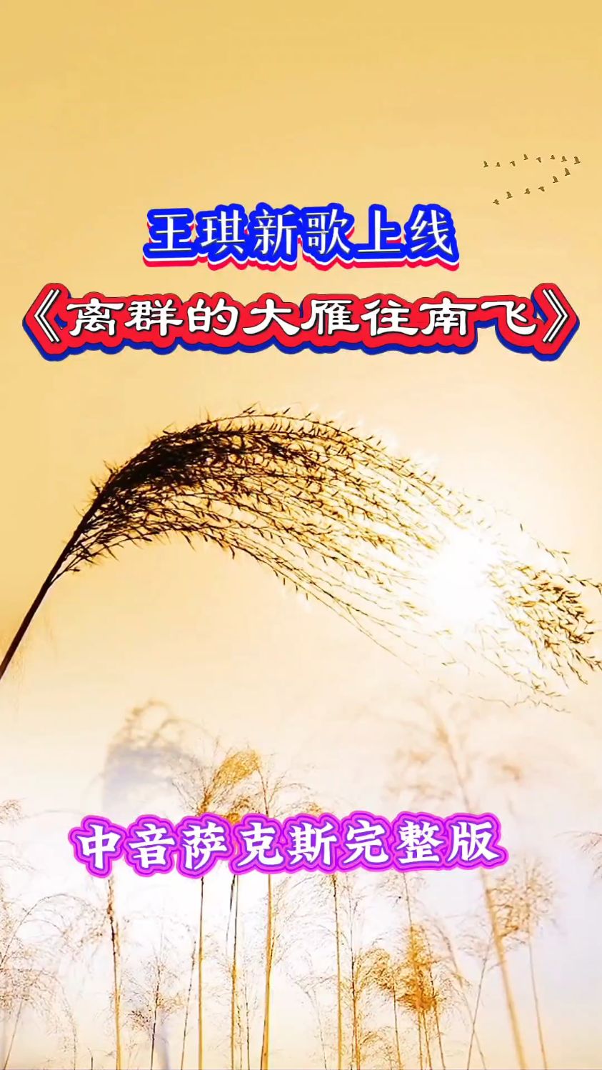 王琪新歌全网上线离群的大雁往南飞萨克斯好歌分享