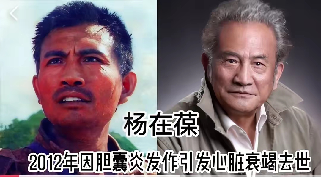 因病去世的14位明星,原以为他们只是退出舞台,其实已逝多年 第1位