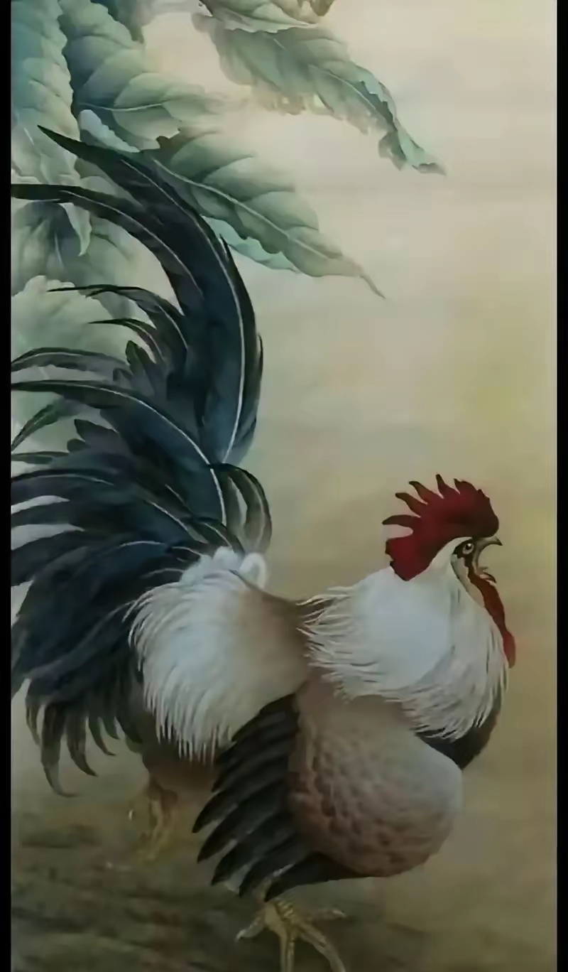 5月生肖运势属鸡(生肖鸡五月运气怎样)