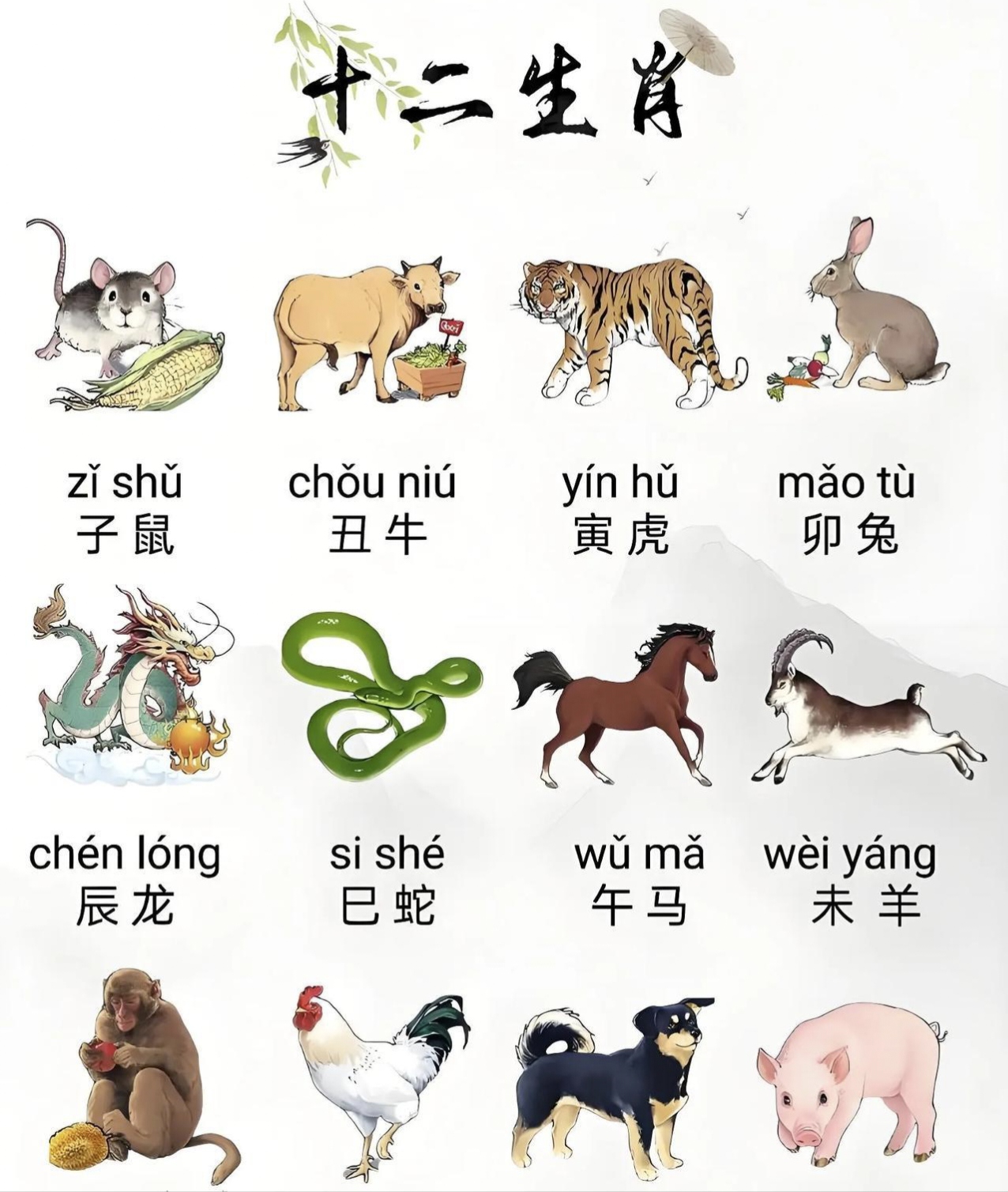 十二个生肖代表运势图片(十二生肖各代表)