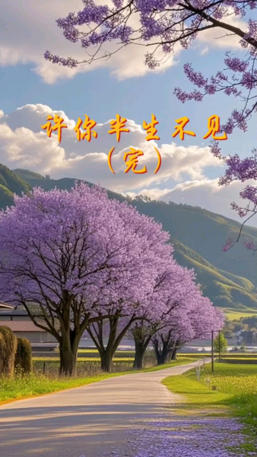 许你半生不见结尾