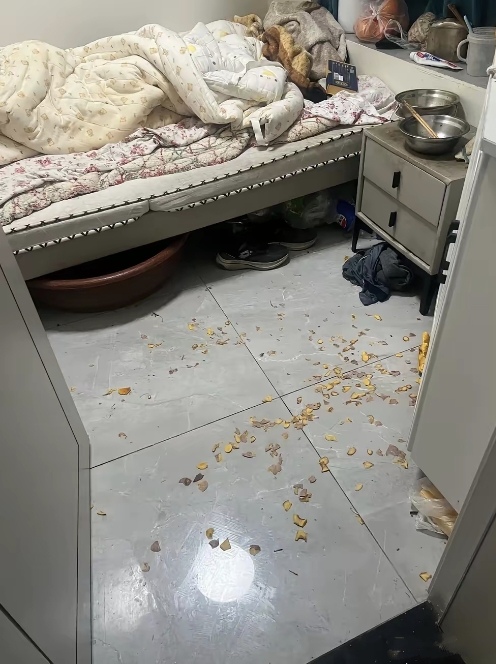 婆婆坚持两人已离婚,不能同住,只好跑到我房间打地铺