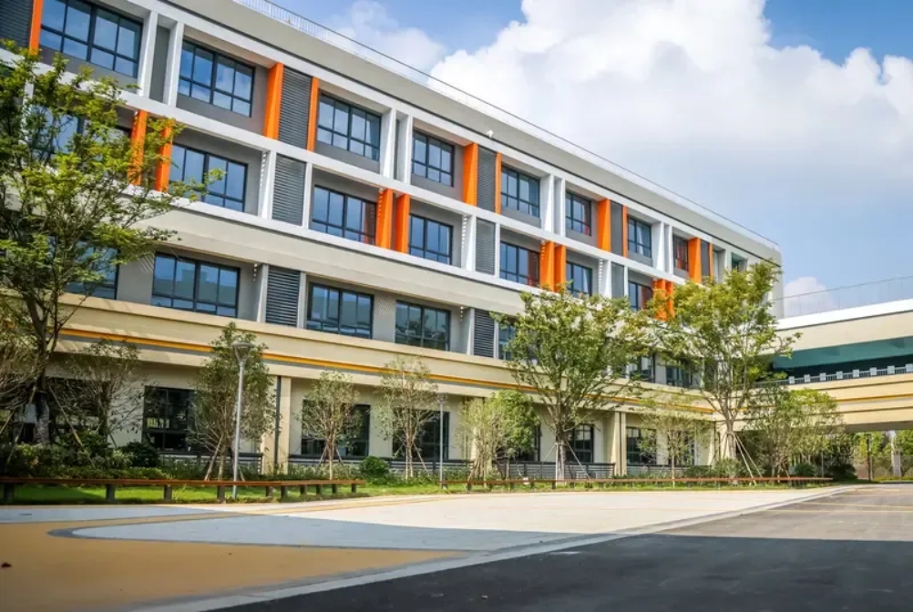 女儿文科486分,卡在不上不下的档位,像被架在热锅上,左右为难