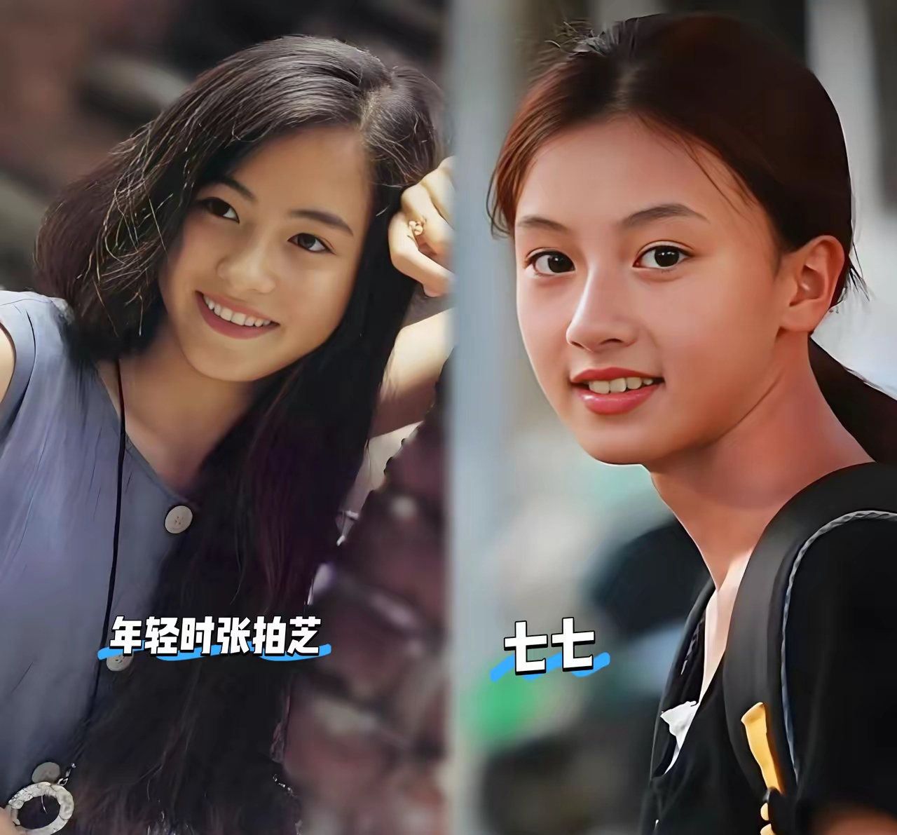网上传疯了都说七七长得像年轻时的张柏芝,把两人的图片拼在一起大家