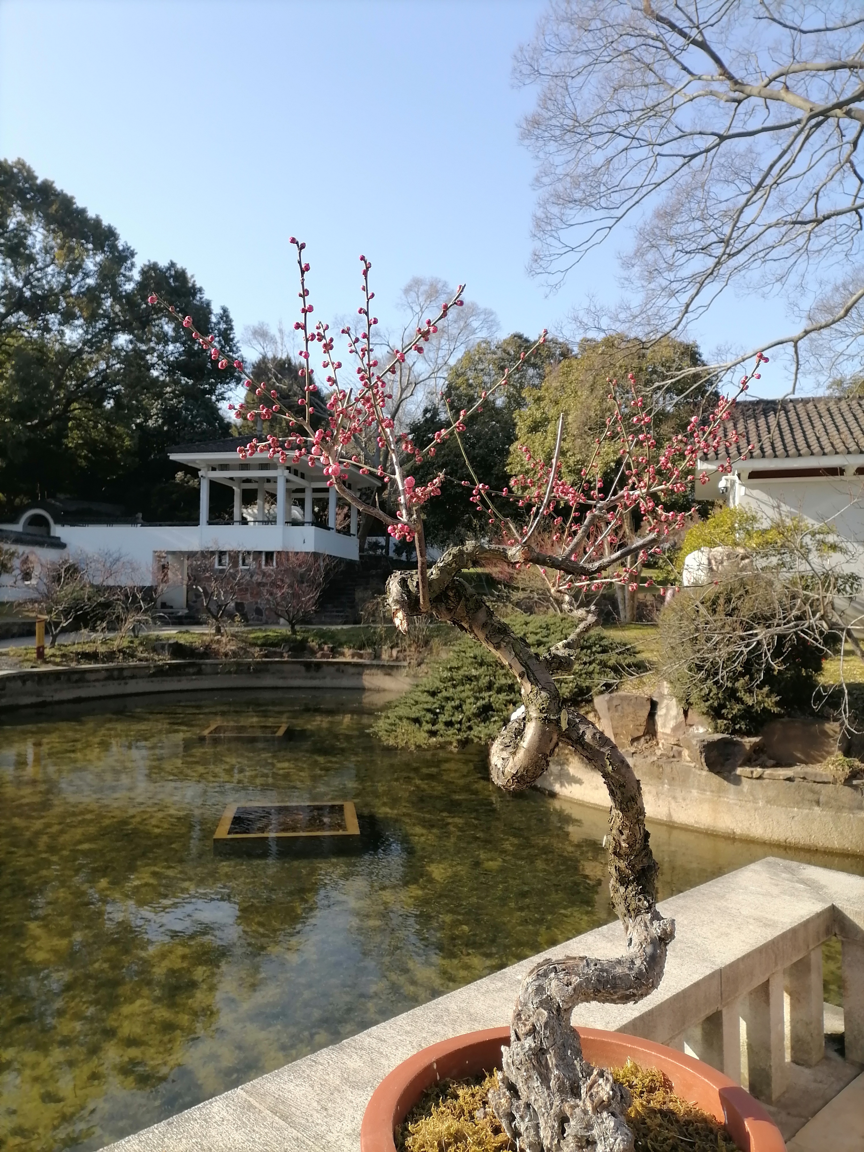 股票学问很深,深不可测,世界上所有人一生都不会明